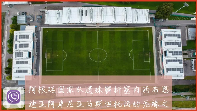 阿根廷国家队遗珠解析塞内西布恩迪亚阿库尼亚马斯坦托诺的无缘之路