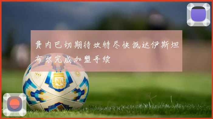 费内巴切期待坎特尽快抵达伊斯坦布尔完成加盟手续